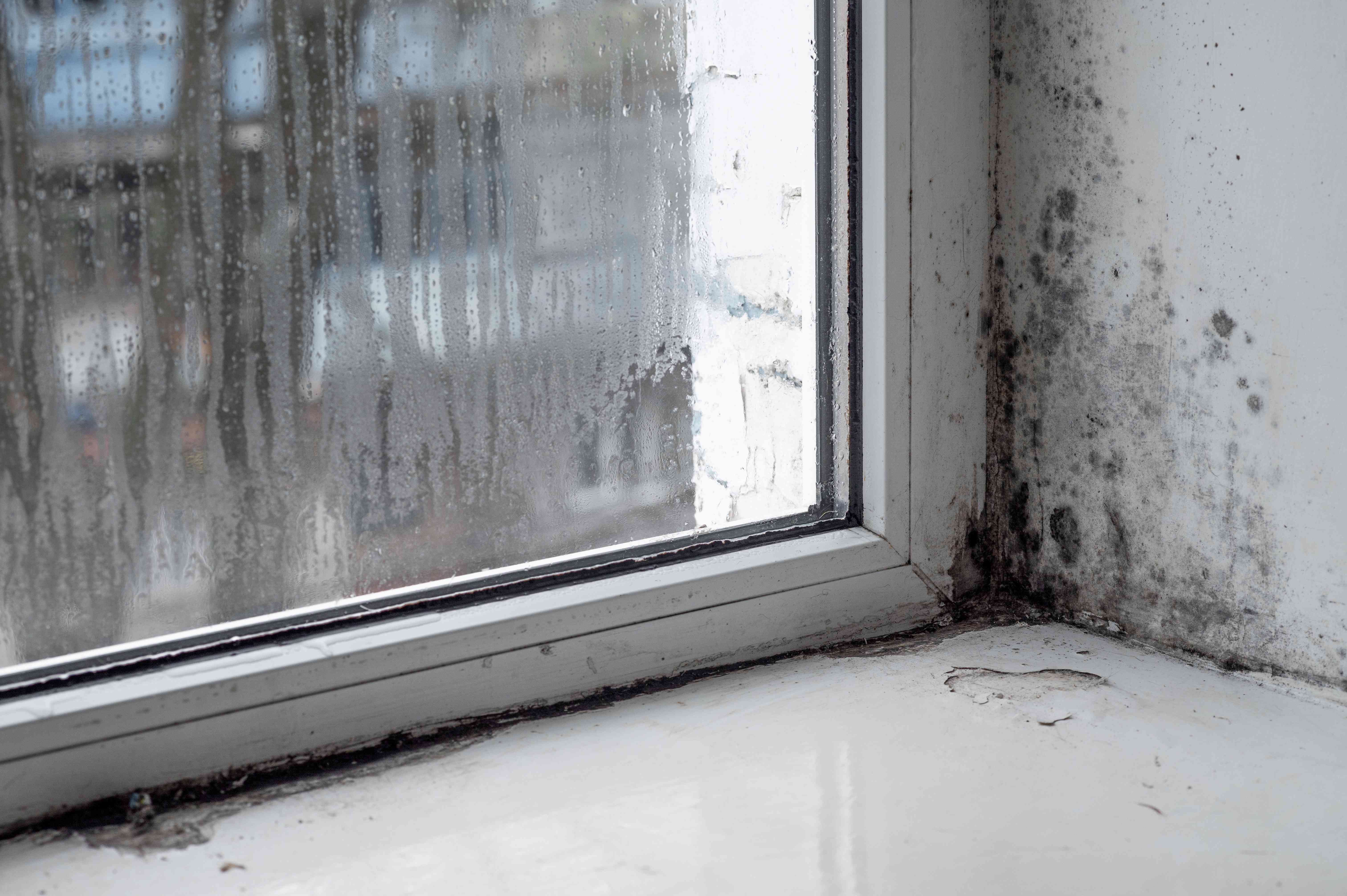 Kabero-Ingenieure_Schimmel_Aktuelles_richtig Lüften & Heizen